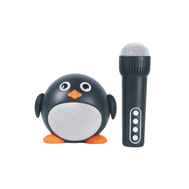 Mini Karaoke Set
